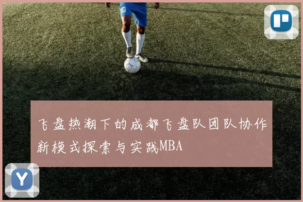 飞盘热潮下的成都飞盘队团队协作新模式探索与实践MBA