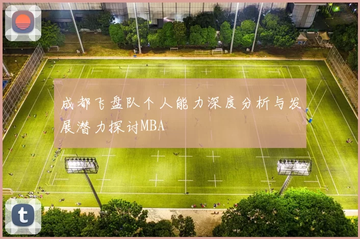 成都飞盘队个人能力深度分析与发展潜力探讨MBA