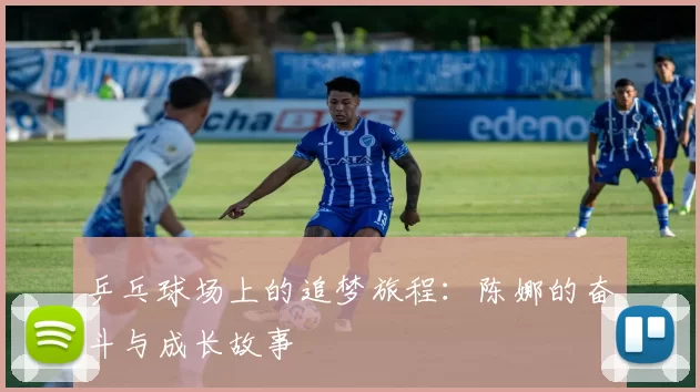 乒乓球场上的追梦旅程：陈娜的奋斗与成长故事