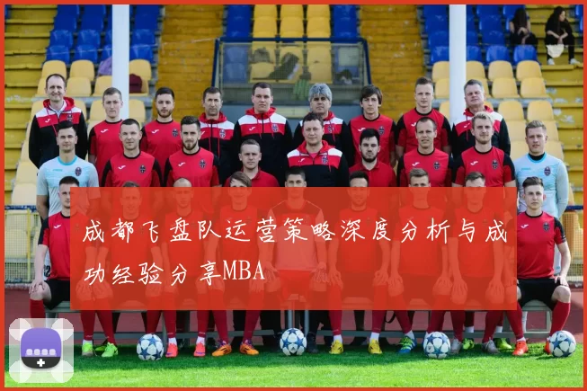成都飞盘队运营策略深度分析与成功经验分享MBA