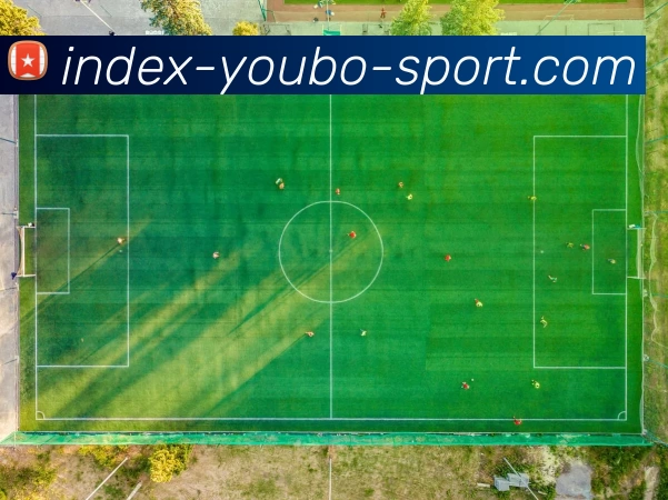 youbo友博体育APP 封面图